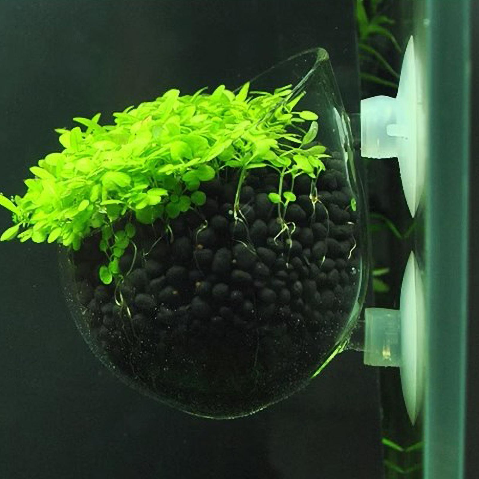 Planted Aquarium Maintenance - Suporte de Plantas para Aquário, Vaso