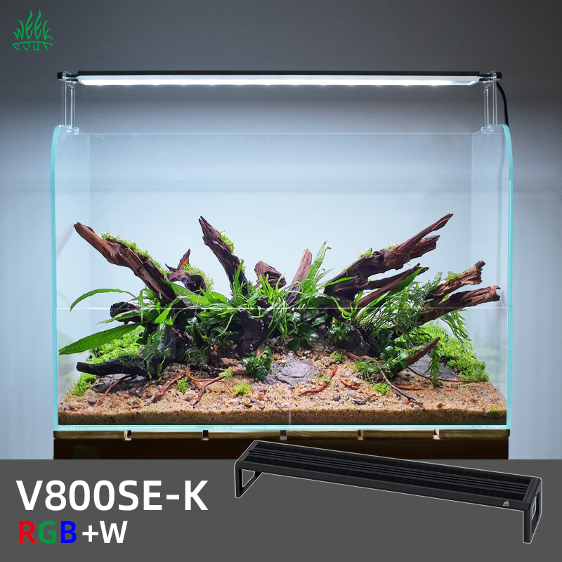 Planted Aquarium Ada - ZXY WEEK ADA Mesmo Tipo de