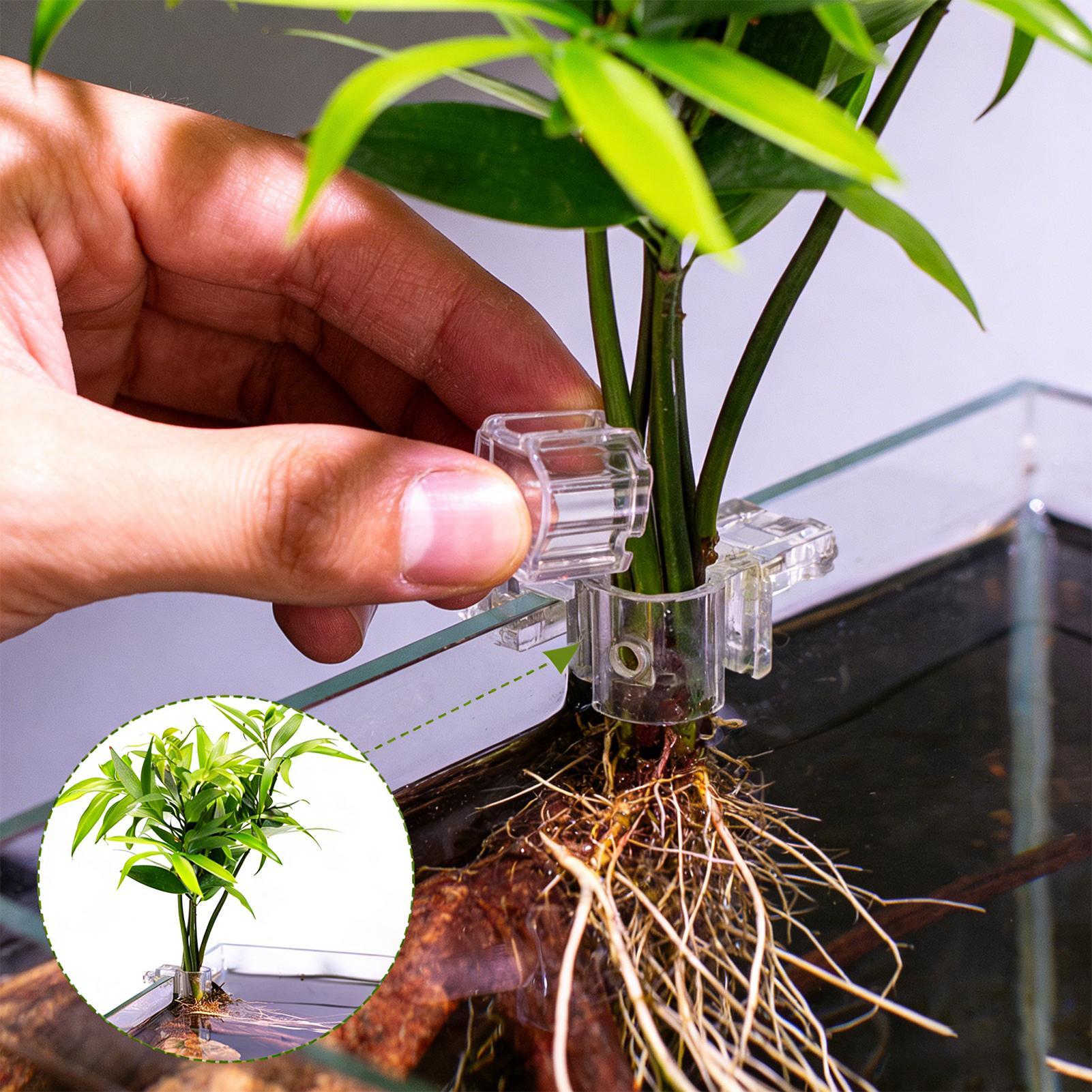 Planted Aquarium Materials - Suportes Transparentes para Plantas de Aquário