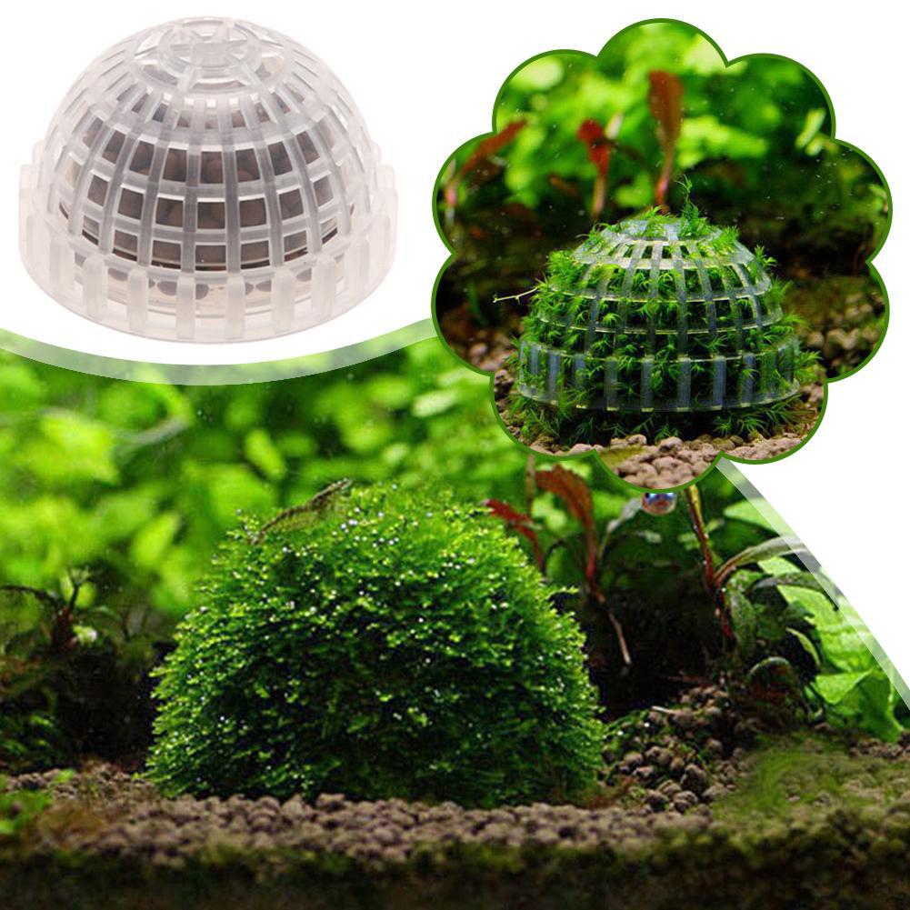 Aquarium Plant Red - Decoração de aquário plantas bio musgo
