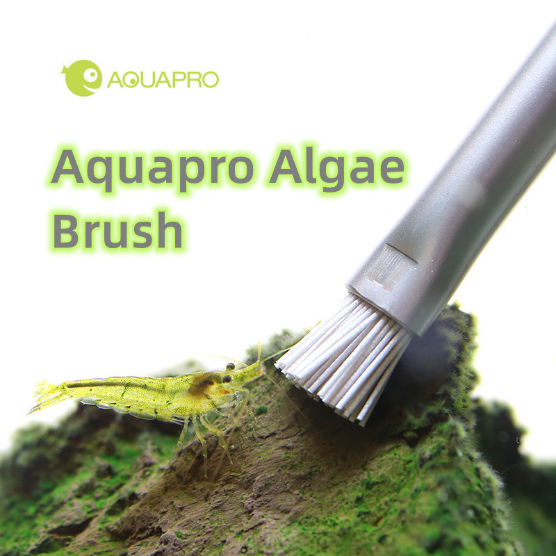 Planted Aquarium Ada - Aquapro algas escova aquário tanque de