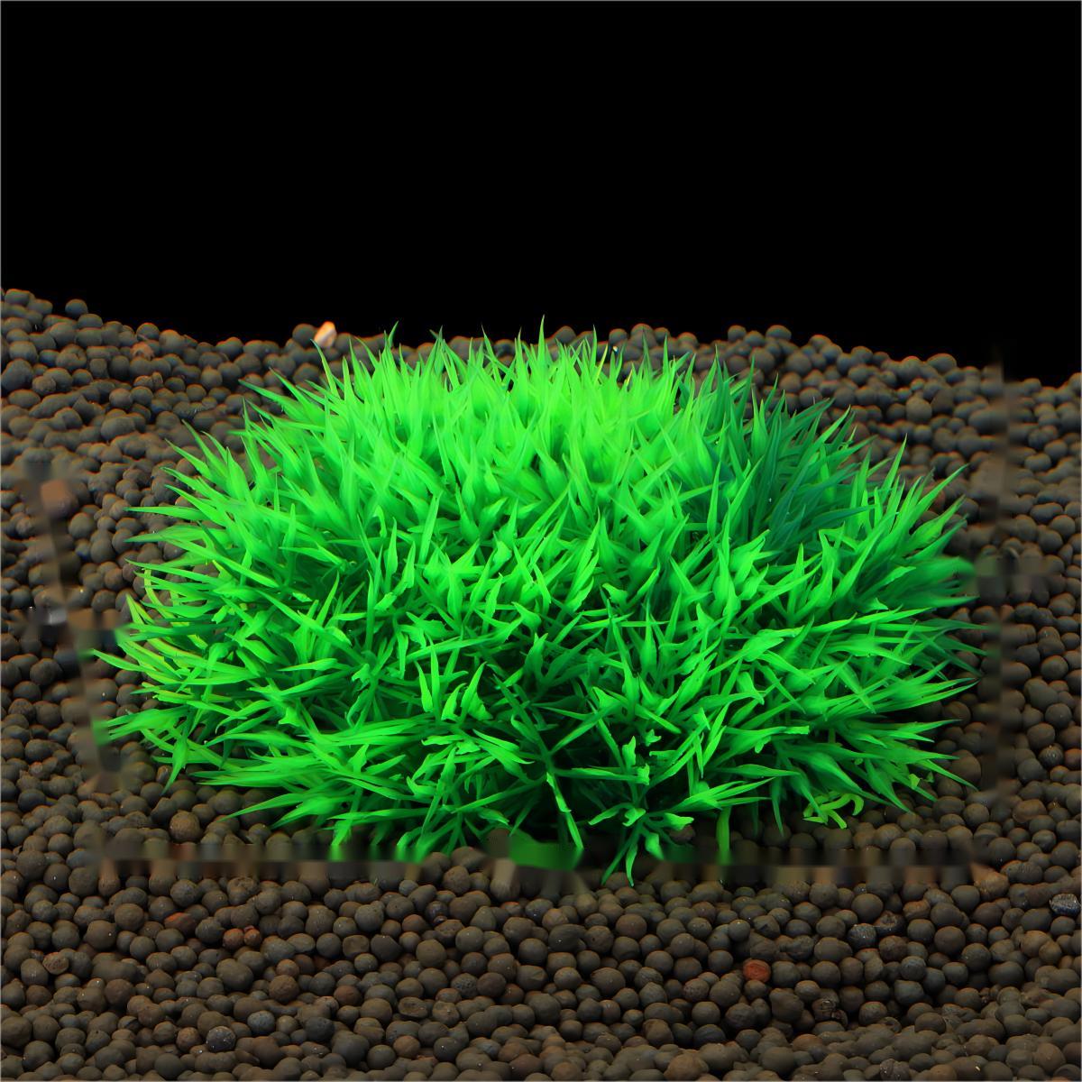 Decoração de Plantas Aquáticas - Planted Aquarium Materials avaliação e preço