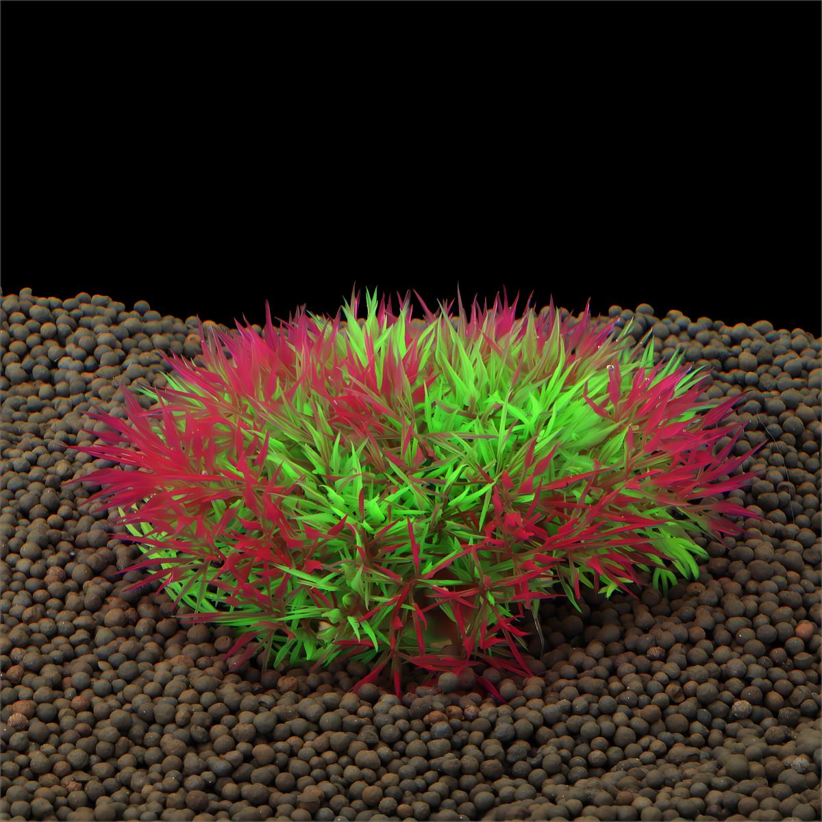 Decoração de Plantas Aquáticas - Planted Aquarium Materials avaliação e preço