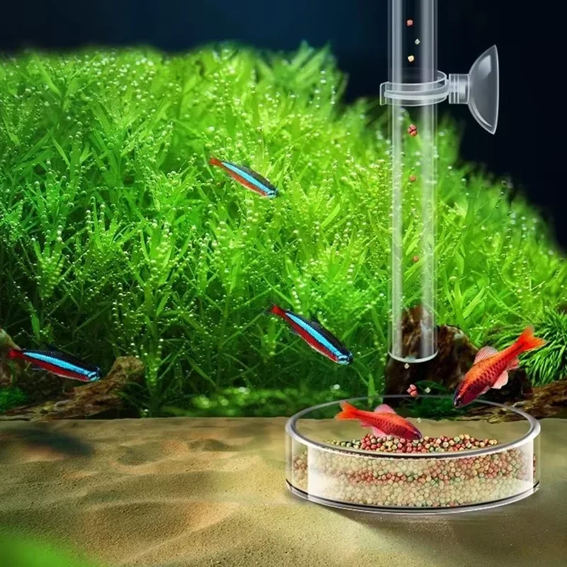 Conjunto de Tubo de Alimentaçã - Aquarium Plant Red avaliação e preço