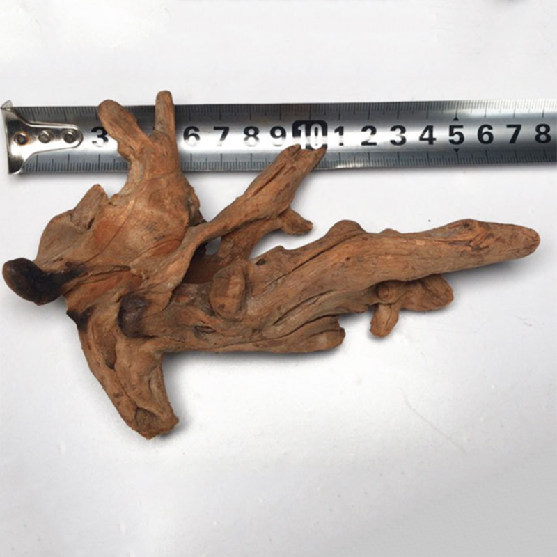 Tronco de árvore natural decor - Aquarium Plant Root Tabs avaliação e preço