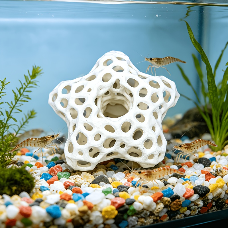 Decoração de Aquário Estrela V - Planted Aquarium Without Fish avaliação e preço