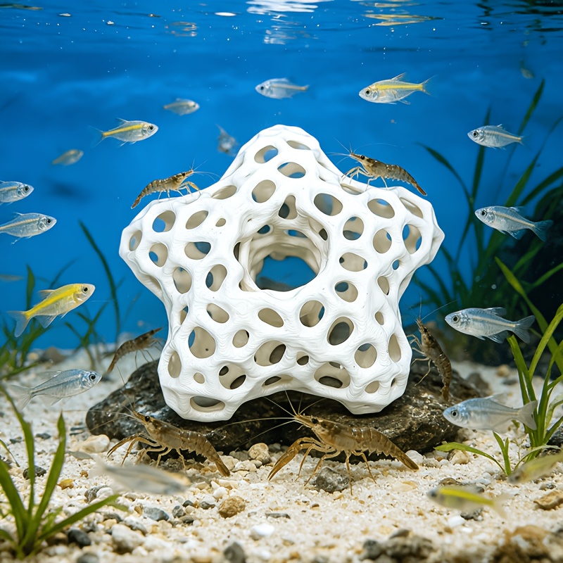 Decoração de Aquário Estrela V - Planted Aquarium Without Fish avaliação e preço