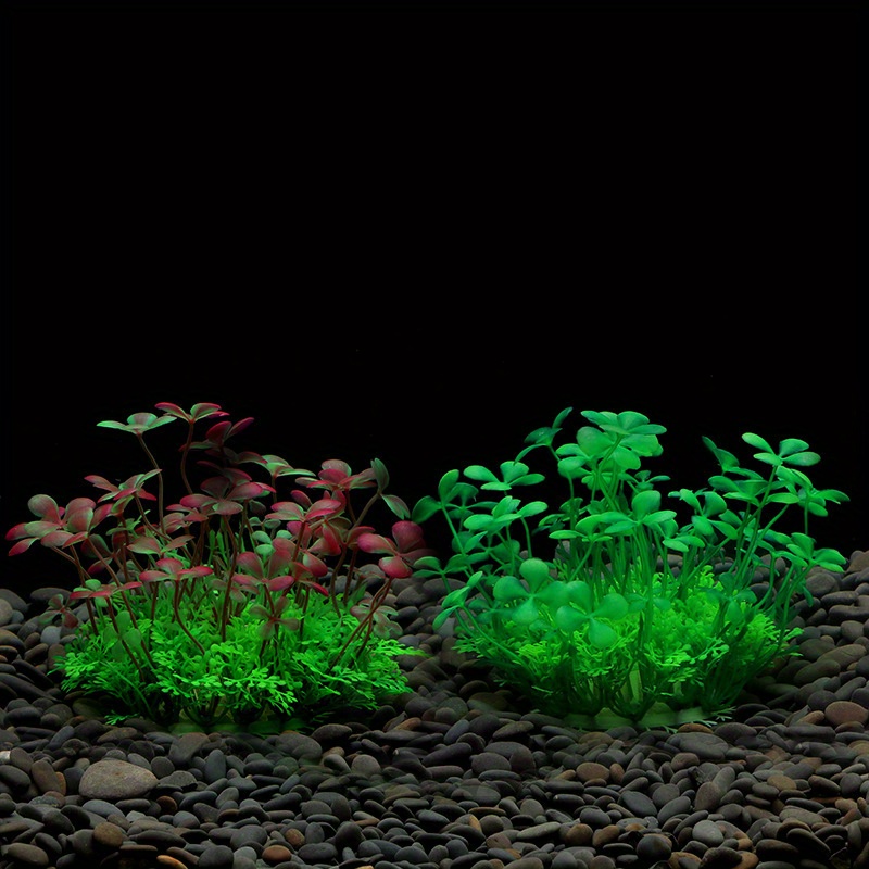 Decoração para Aquário: Planta - Planted Aquarium Materials avaliação e preço