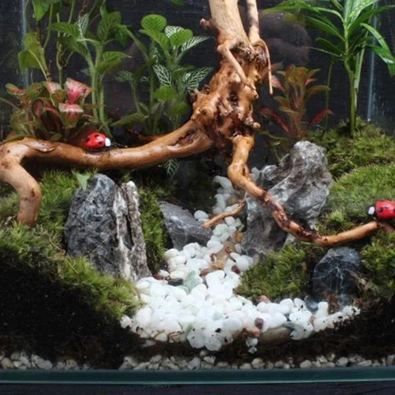 Natural Tree Tronco Driftwood  - Aquarium Plant Root Tabs avaliação e preço