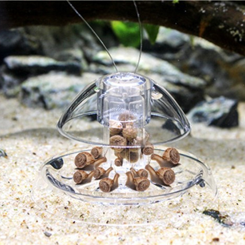 Caracol Armadilha Plástico Aqu - Planted Aquarium Materials avaliação e preço