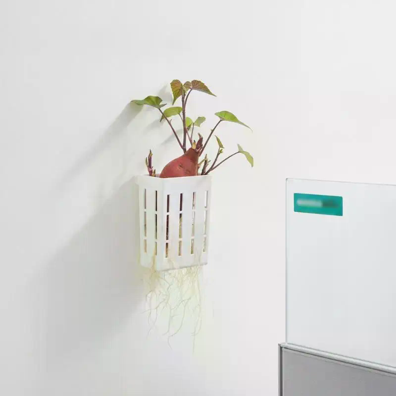 1 Peça Cesto de Suporte Hidrop - Aquarium Plant Holder avaliação e preço