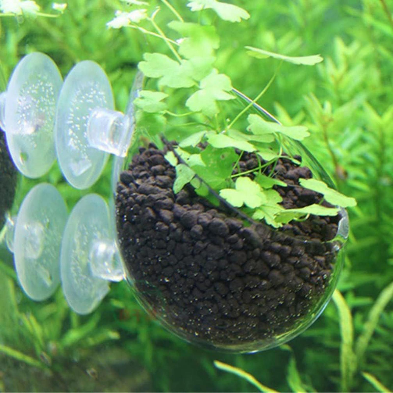 Suporte de Plantas para Aquári - Planted Aquarium Maintenance avaliação e preço