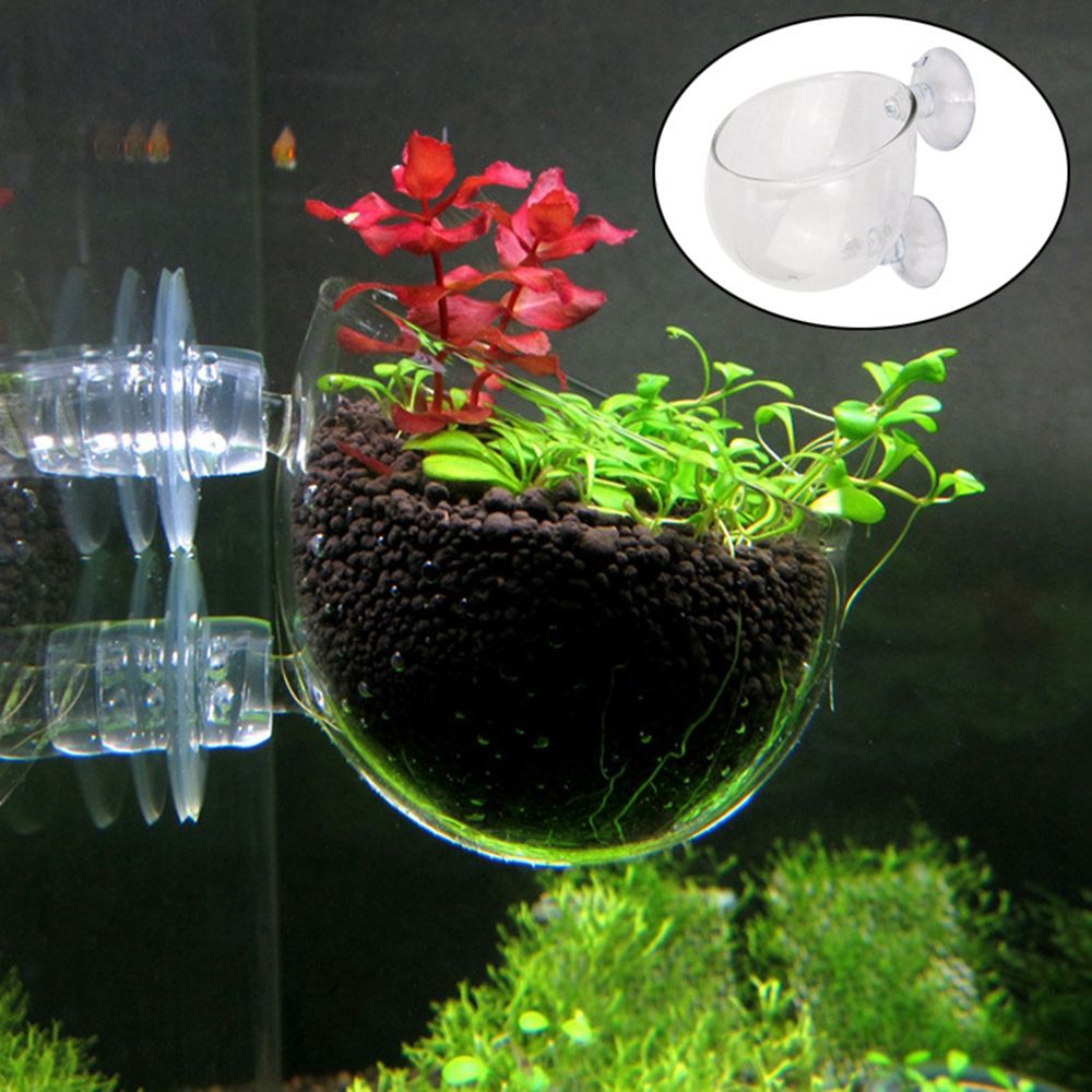 Mini Copo Alimentador de Plant - Aquarium Plant Red avaliação e preço