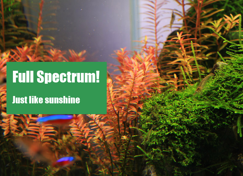 Chihiros-Série C ADA Estilo Pl - Planted Aquarium Ada avaliação e preço