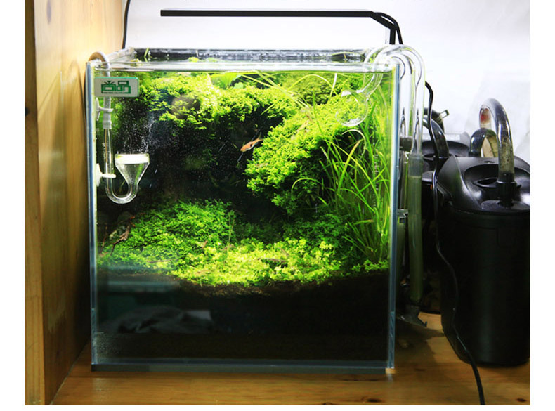 Chihiros-Série C ADA Estilo Pl - Planted Aquarium Ada avaliação e preço
