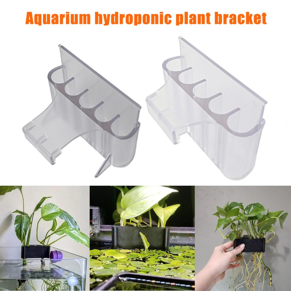 4.5/6.5cm suporte de planta de - Aquarium Plant Holder avaliação e preço