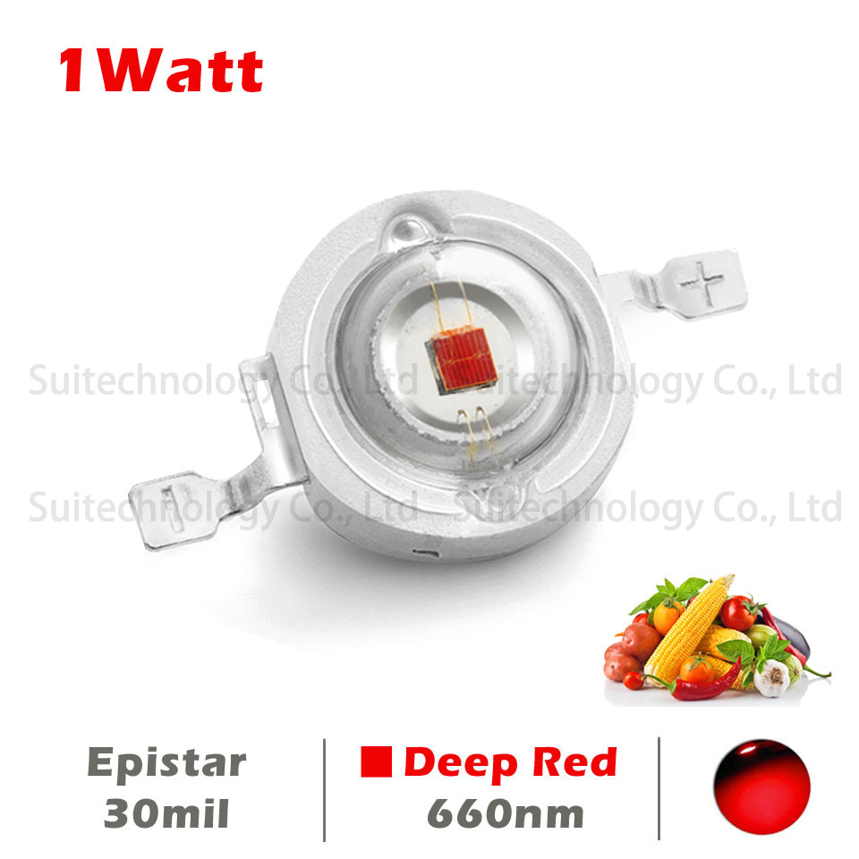 10-50 pçs vermelho profundo 66 - Aquarium Plant Red avaliação e preço