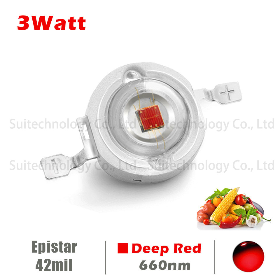 10-50 pçs vermelho profundo 66 - Aquarium Plant Red avaliação e preço