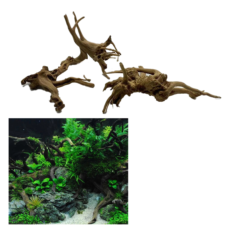 Tronco de árvore natural flutu - Aquarium Plant Root Tabs avaliação e preço