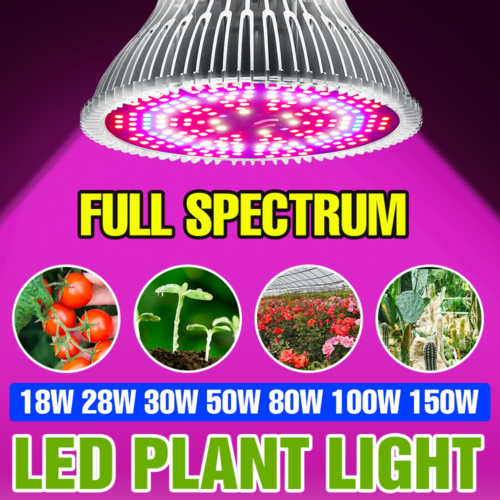 Lâmpada LED de Crescimento de  - Aquarium Plant Root Tabs avaliação e preço