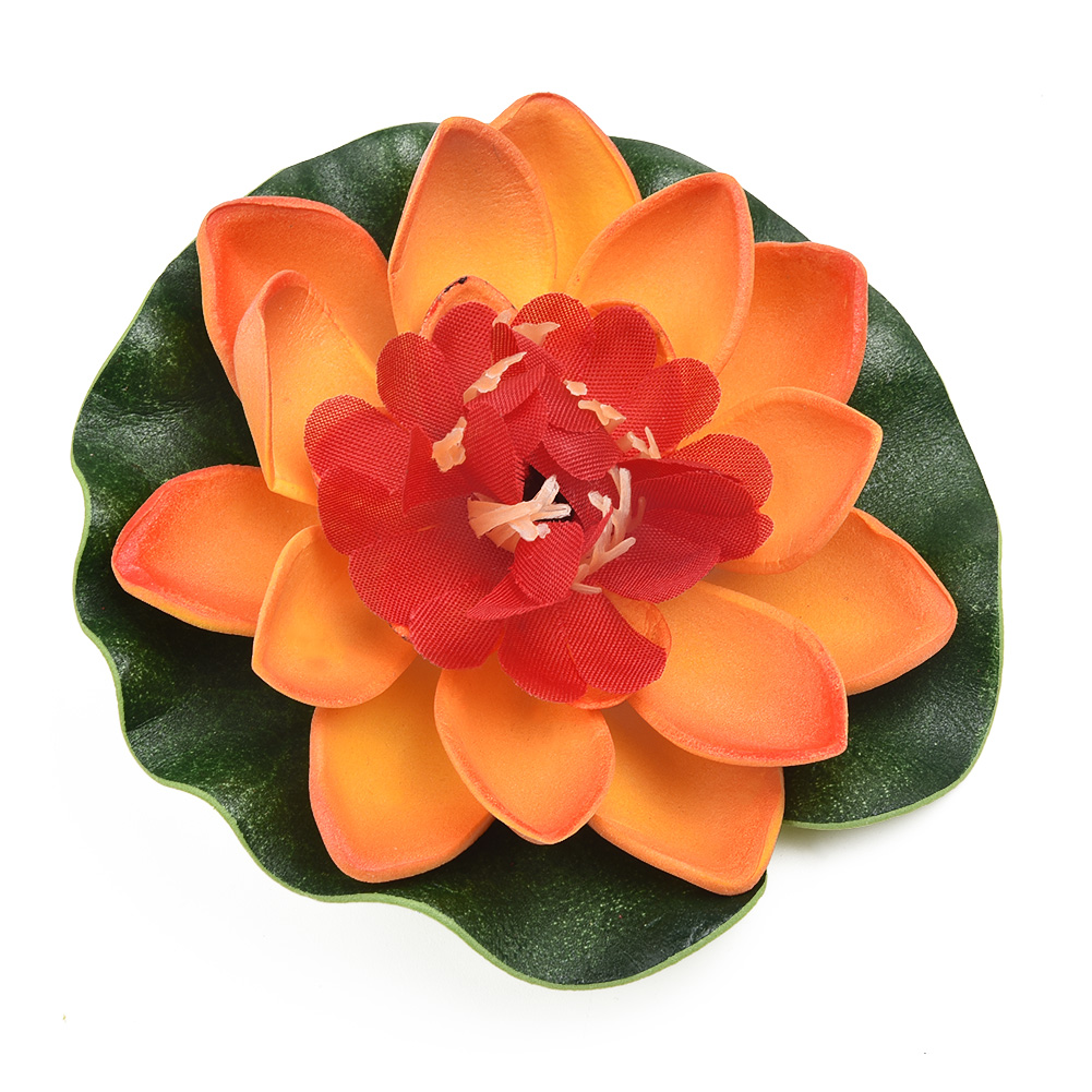 Decoração de Casamento para Ca - Aquarium Plant Red avaliação e preço