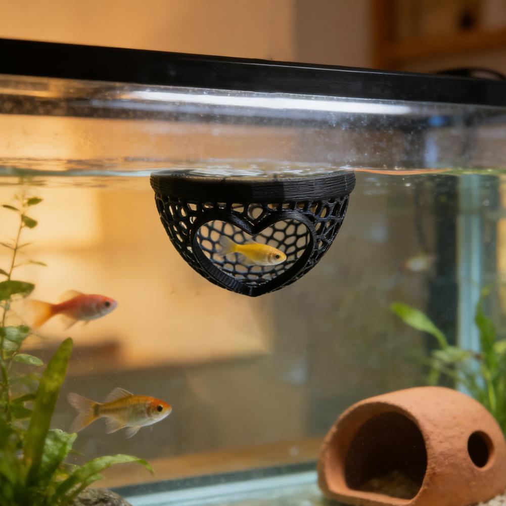 Caverna em Forma de Coração pa - Planted Aquarium Without Fish avaliação e preço