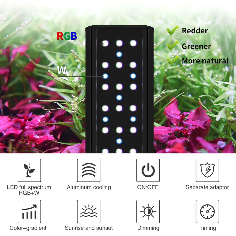ZXY WEEK ADA Mesmo Tipo de Cie - Planted Aquarium Ada avaliação e preço