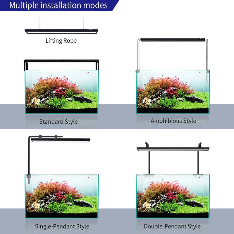 ZXY WEEK ADA Mesmo Tipo de Cie - Planted Aquarium Ada avaliação e preço