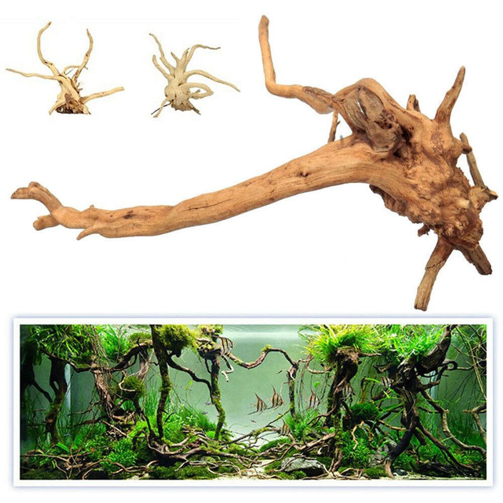 1 pçs de madeira natural tronc - Aquarium Plant Root Tabs avaliação e preço