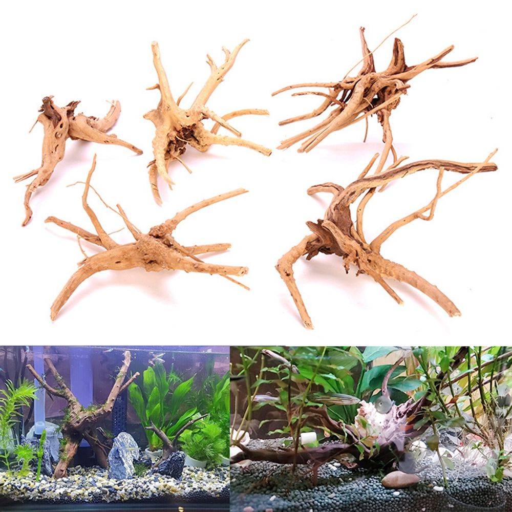 1 pçs de madeira natural tronc - Aquarium Plant Root Tabs avaliação e preço