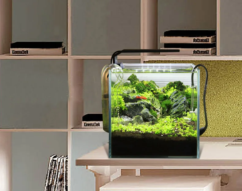 Chihiros Série C ADA Estilo Pl - Planted Aquarium Ada avaliação e preço