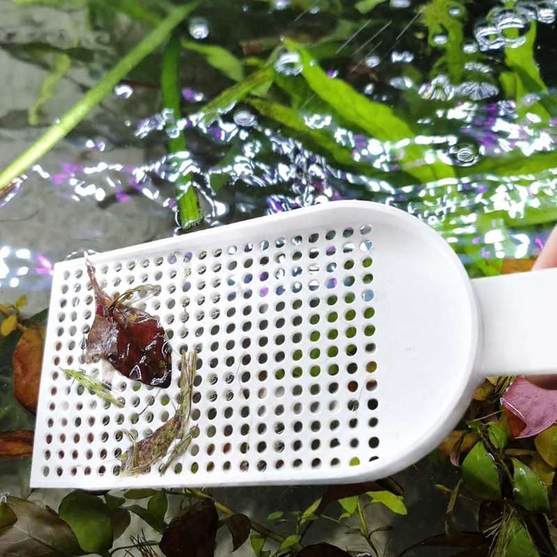 Rede de Limpeza para Aquários  - Planted Aquarium Maintenance avaliação e preço