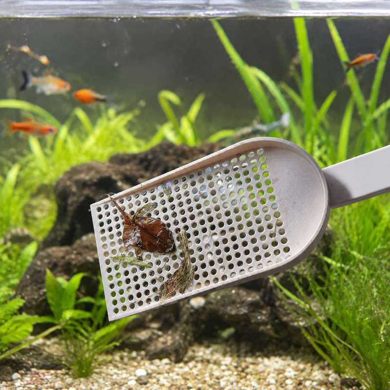 Rede de Limpeza para Aquários  - Planted Aquarium Maintenance avaliação e preço