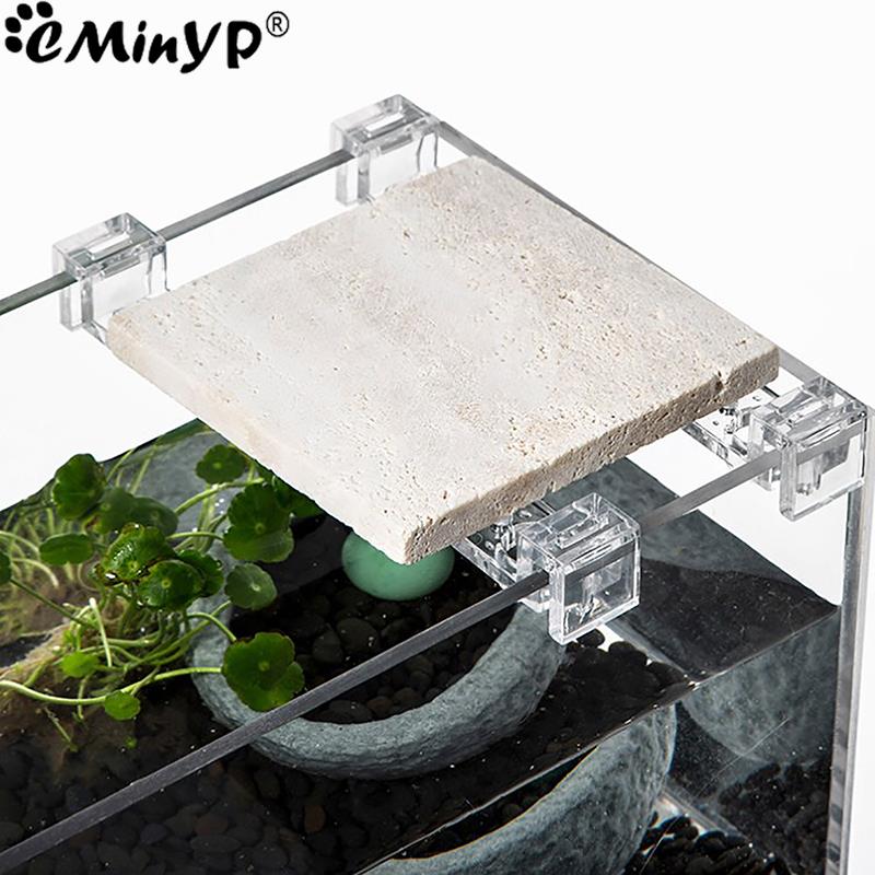 4 pçs clipes acrílicos do tanq - Aquarium Plant Holder avaliação e preço