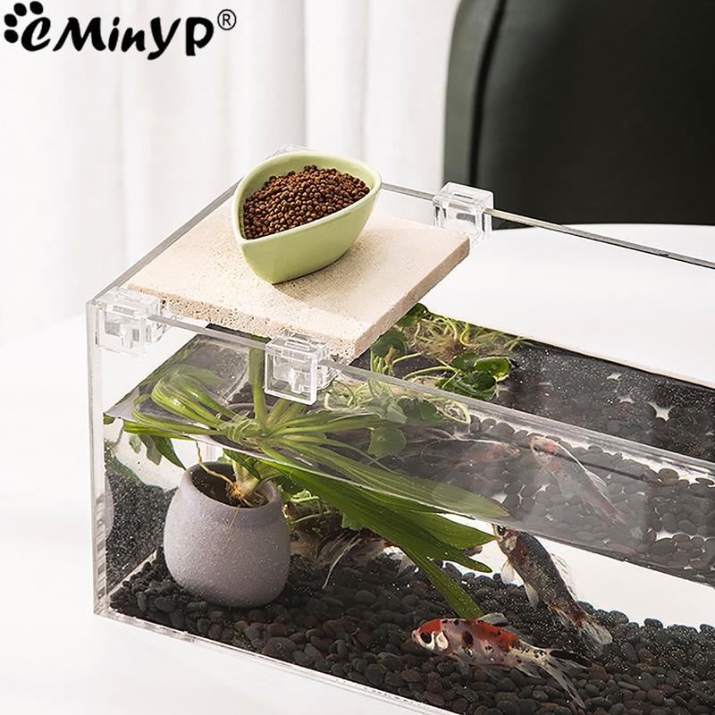 4 pçs clipes acrílicos do tanq - Aquarium Plant Holder avaliação e preço