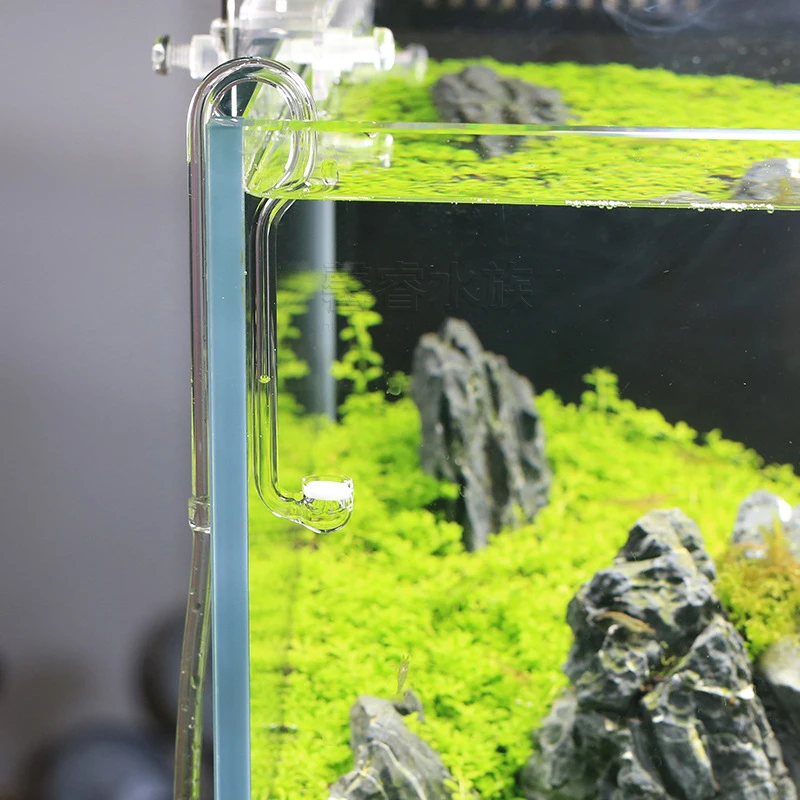 VIV BETTER LIFE CO2 Sistema Di - Planted Aquarium Ada avaliação e preço