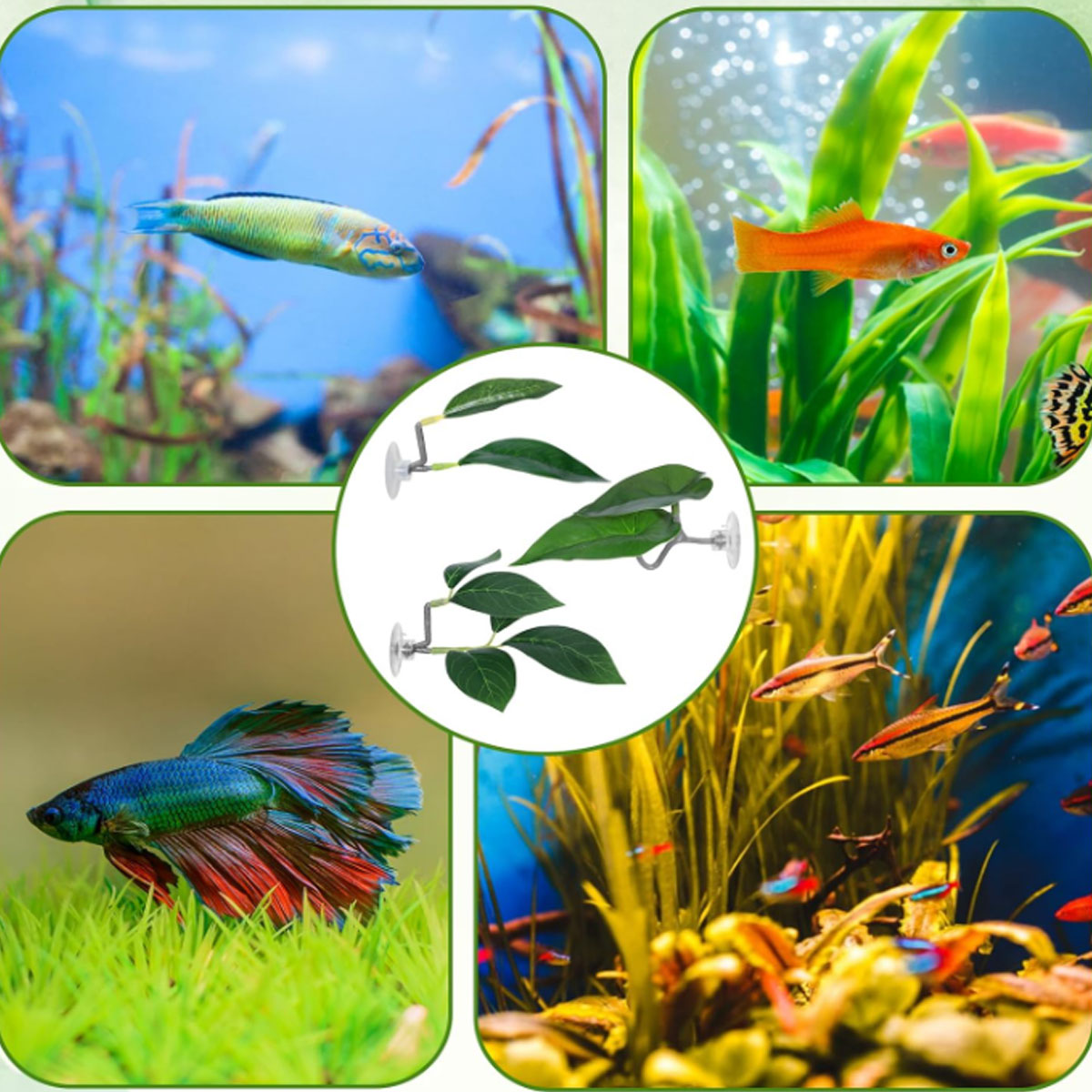 1 Rede de Descanso para Peixe  - Planted Aquarium Materials avaliação e preço