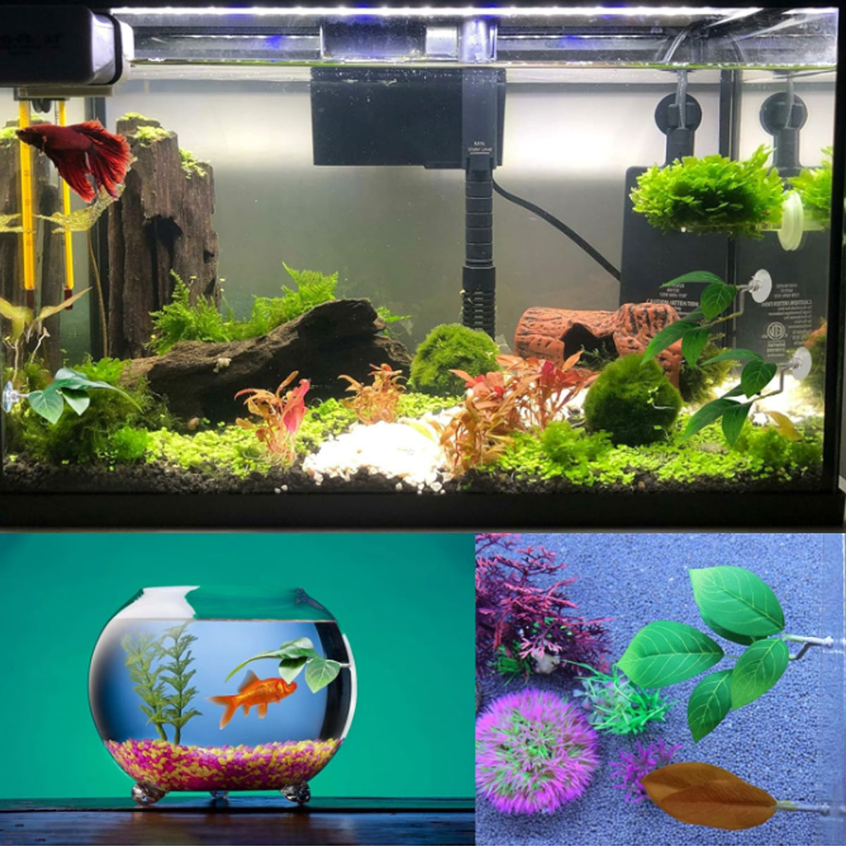 1 Rede de Descanso para Peixe  - Planted Aquarium Materials avaliação e preço