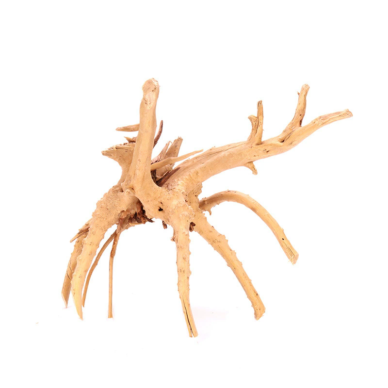 4 Peças de Decorações Naturais - Aquarium Plant Root Tabs avaliação e preço