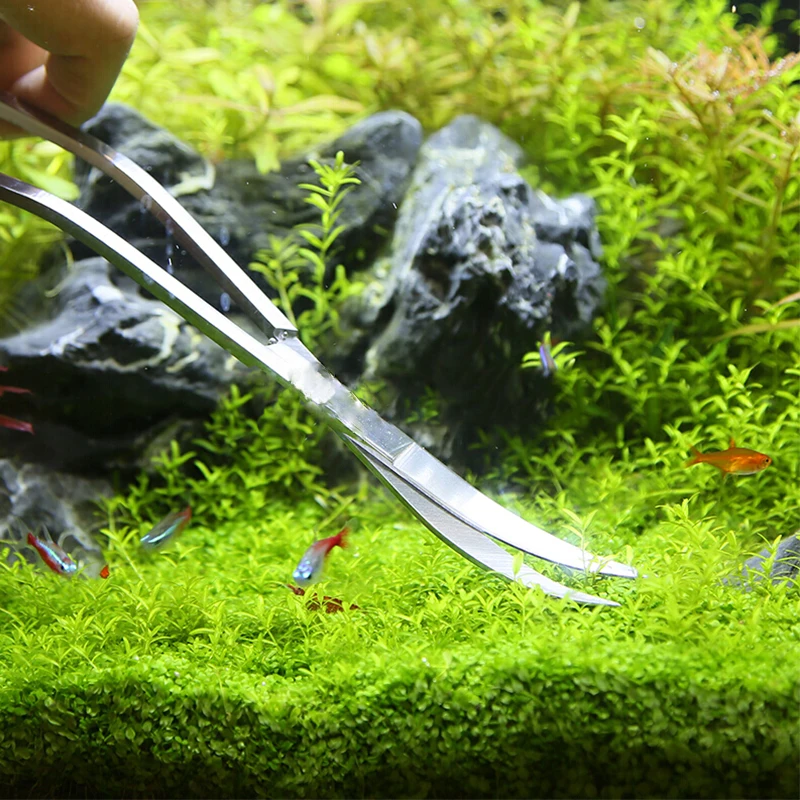 Ferramentas de tesoura para aq - Aquarium Plant Holder avaliação e preço