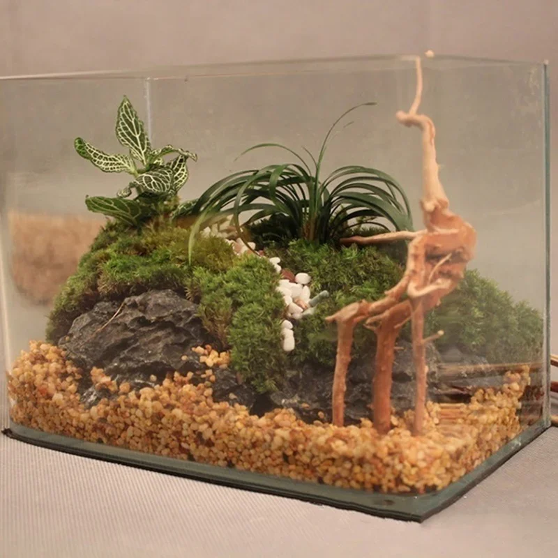 Natural Tree Tronco Driftwood  - Aquarium Plant Root Tabs avaliação e preço