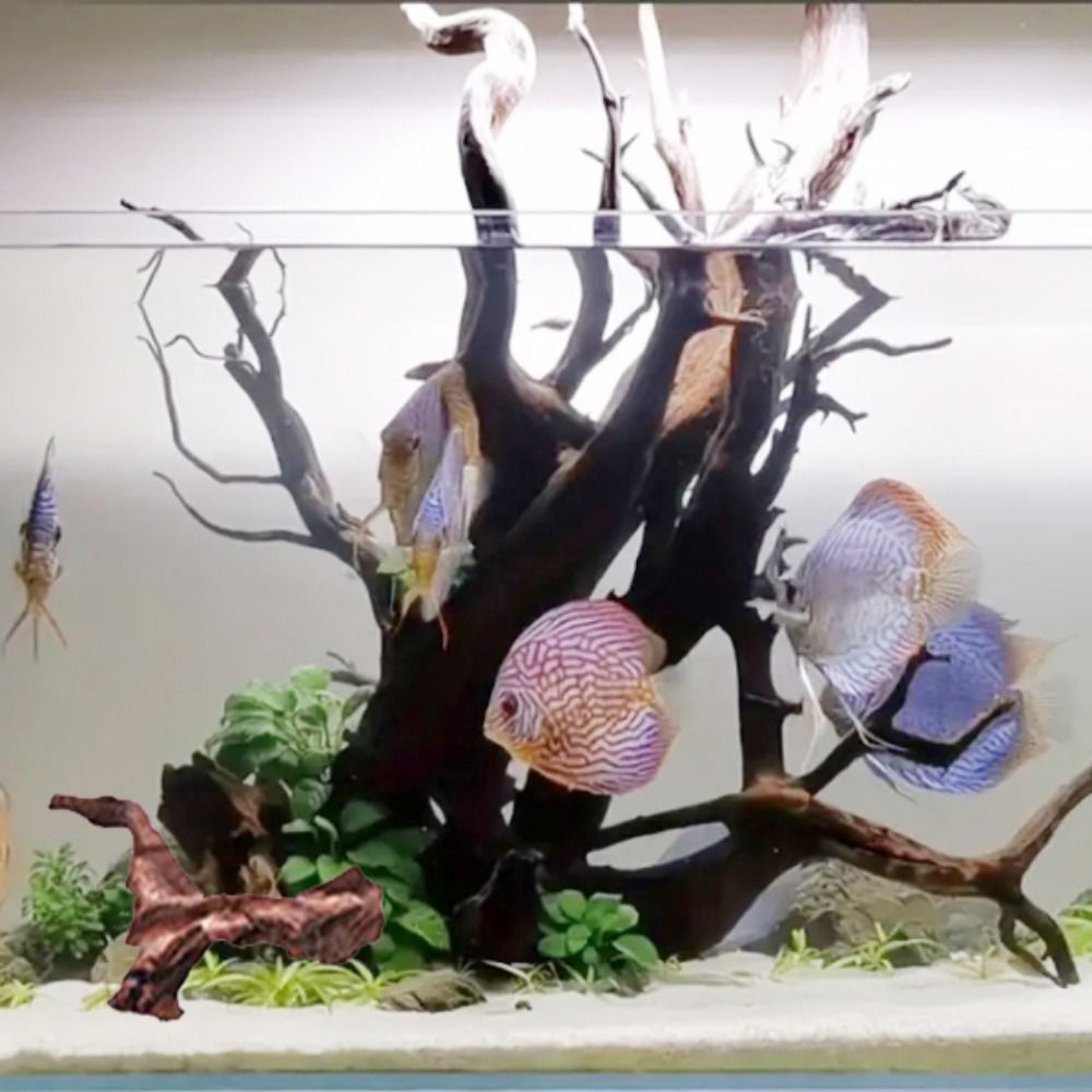 Tronco de Madeira Natural de C - Aquarium Planted Soil avaliação e preço