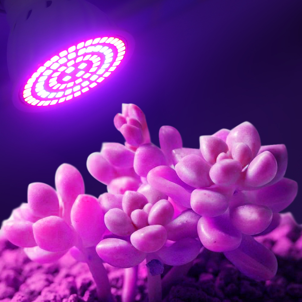 Led crescer lâmpada 220v e27 6 - Aquarium Plant Root Tabs avaliação e preço