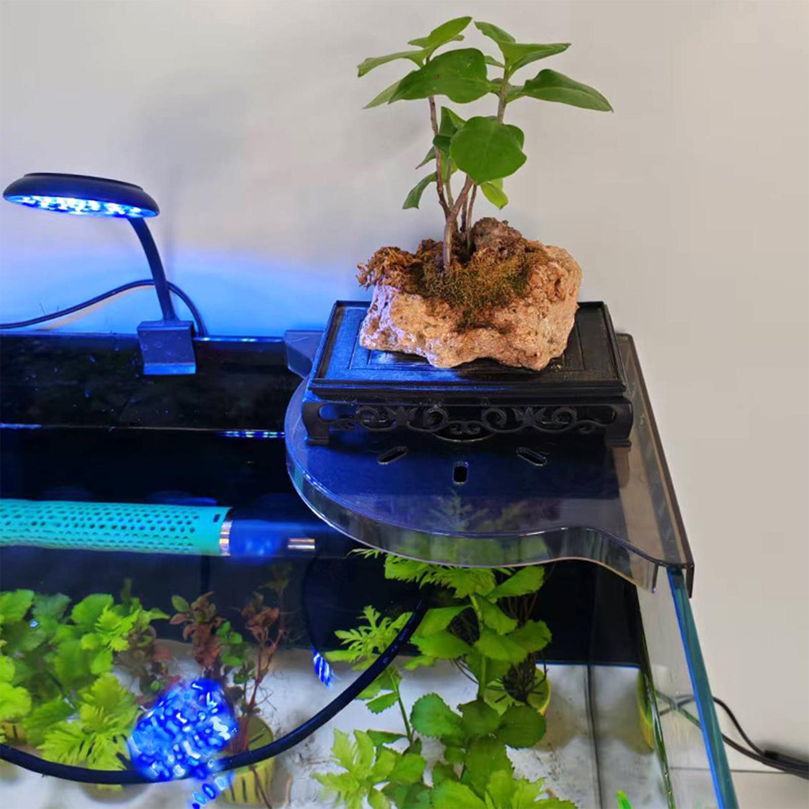 Suporte de Canto para Aquário  - Aquarium Plant Holder avaliação e preço