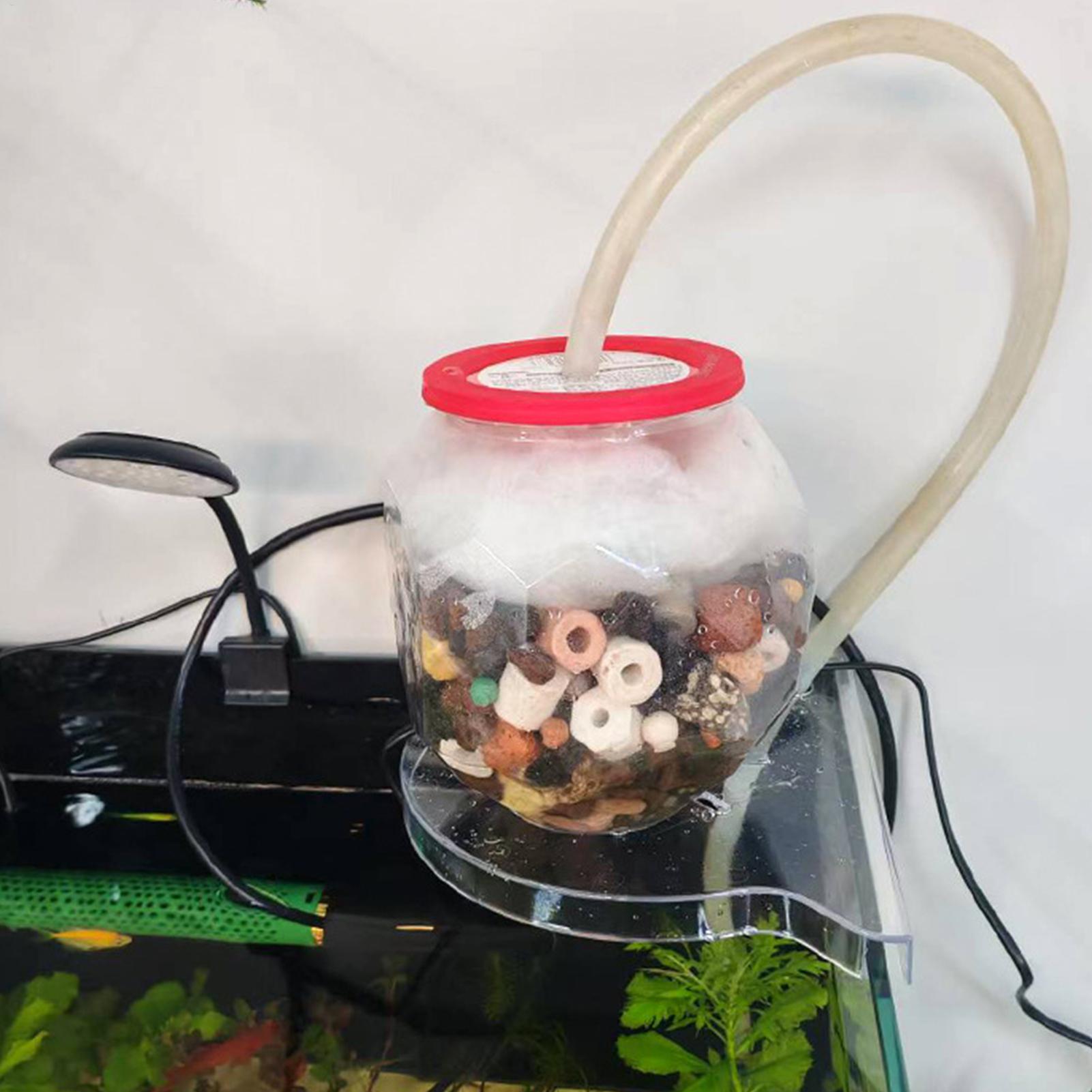 Suporte de Canto para Aquário  - Aquarium Plant Holder avaliação e preço