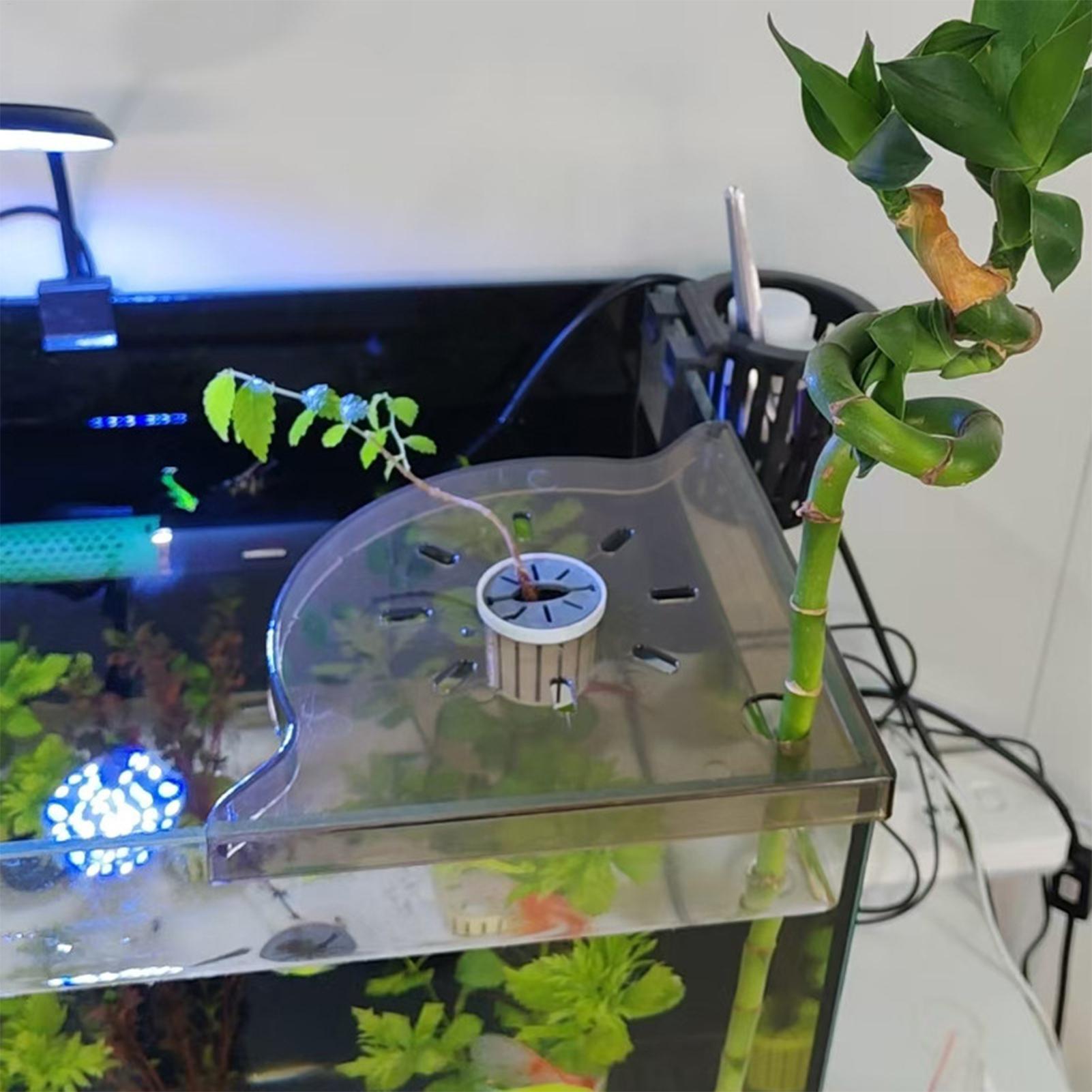 Suporte de Canto para Aquário  - Aquarium Plant Holder avaliação e preço