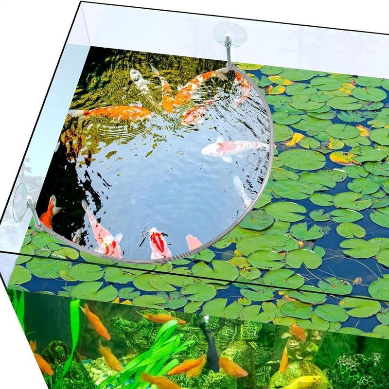 Anel de alimentação de peixes  - Planted Aquarium Materials avaliação e preço
