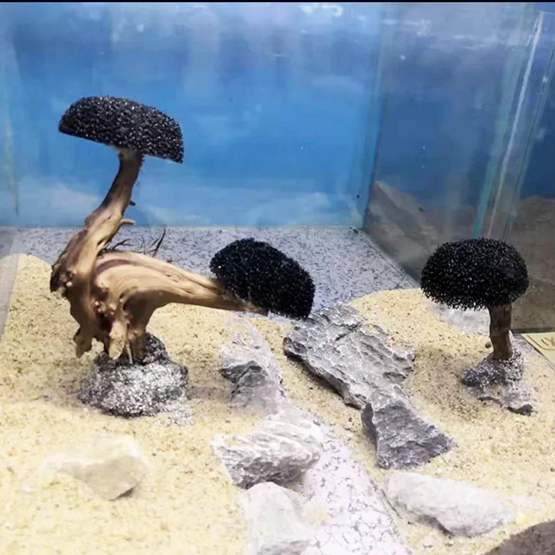 Decoração de aquário planta mu - Planted Aquarium Without Fish avaliação e preço