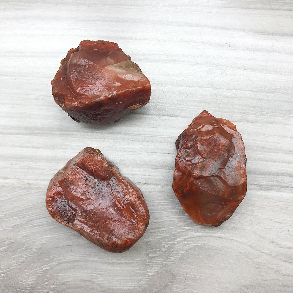 1pc aleatório áspero cru carne - Aquarium Plant Red avaliação e preço
