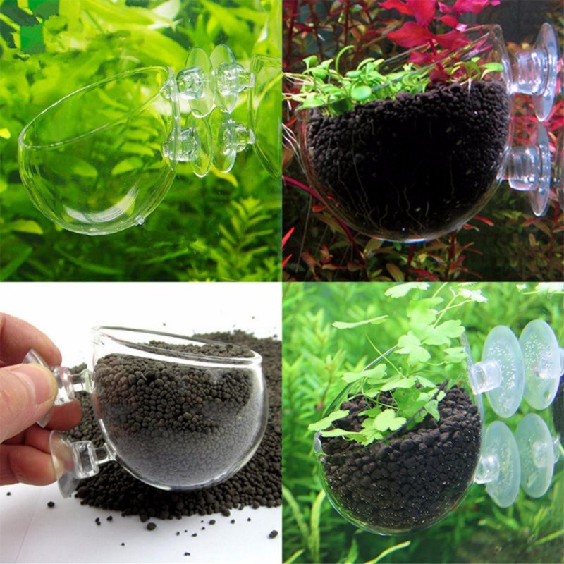 Aquário Pendurado Vaso De Plan - Planted Aquarium Moss avaliação e preço